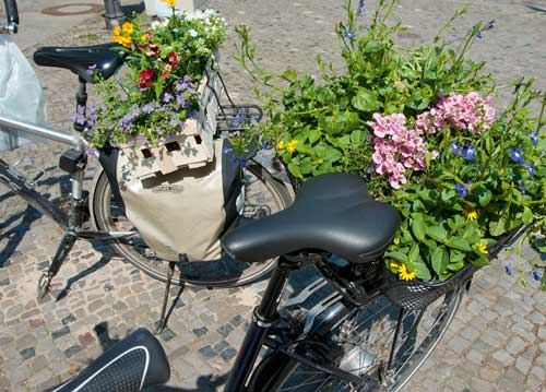 bildreich karten PK 1022: vom markt zum balkon.