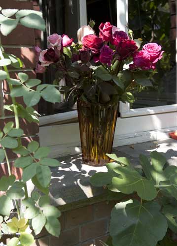 bildreich karten PK 770: rosenduft im suedgarten.