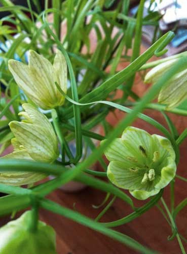 bildreich karten PK 906: erkundung.