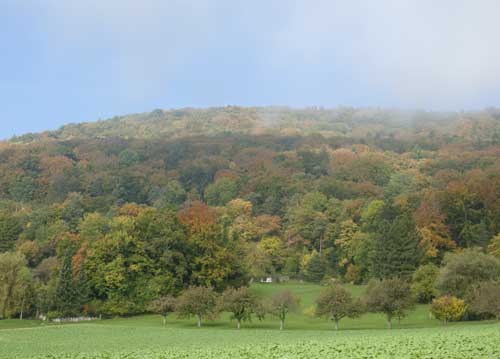 bildreich karten PK 962: herbstliche schleier.