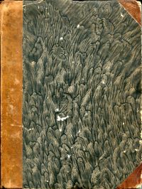 Oricellarius, Bernardi Oricellarii de Bello italico commentarius, iterum in luce (Umschlag)