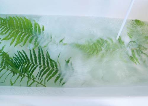 bildreich karten PK 1069: kräutermildbad.