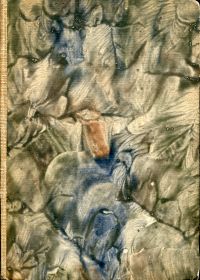 Giorgi, Matthaei Giorgii Patritii Albiganensis Philosophiae, ac Medicinae Doctor (Einband)