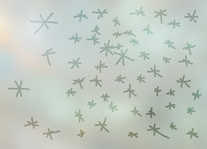 bildreich karten PK 377: viele sterne.