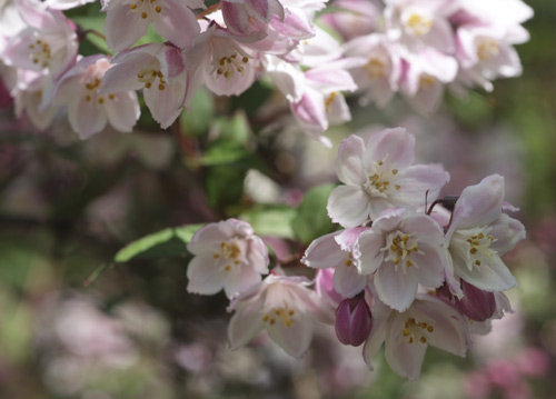 bildreich karten PK 602: ueberfuelle.