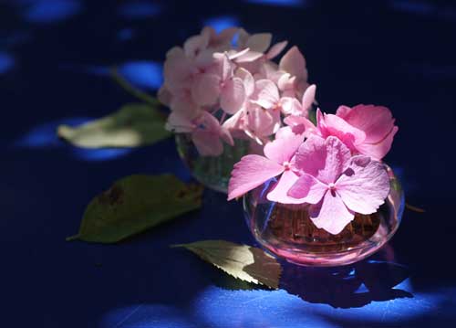 bildreich karten PK 727: sommerlicht.