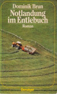 Brun, Notlandung im Entlebuch. (Umschlag)