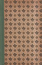 Bernoulli, Das neue Bagdad. (Umschlag)